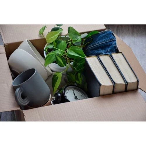 Guía Definitiva para Ordenar y Organizar tu Casa (Habitación por Habitación)